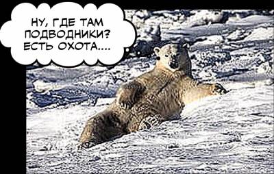Полюс и умка
